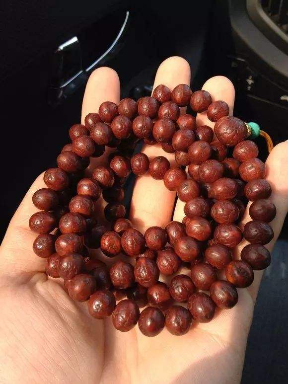 凤眼菩提的盘玩方法以及注意事项,凤眼菩提中后期怎么盘玩最好