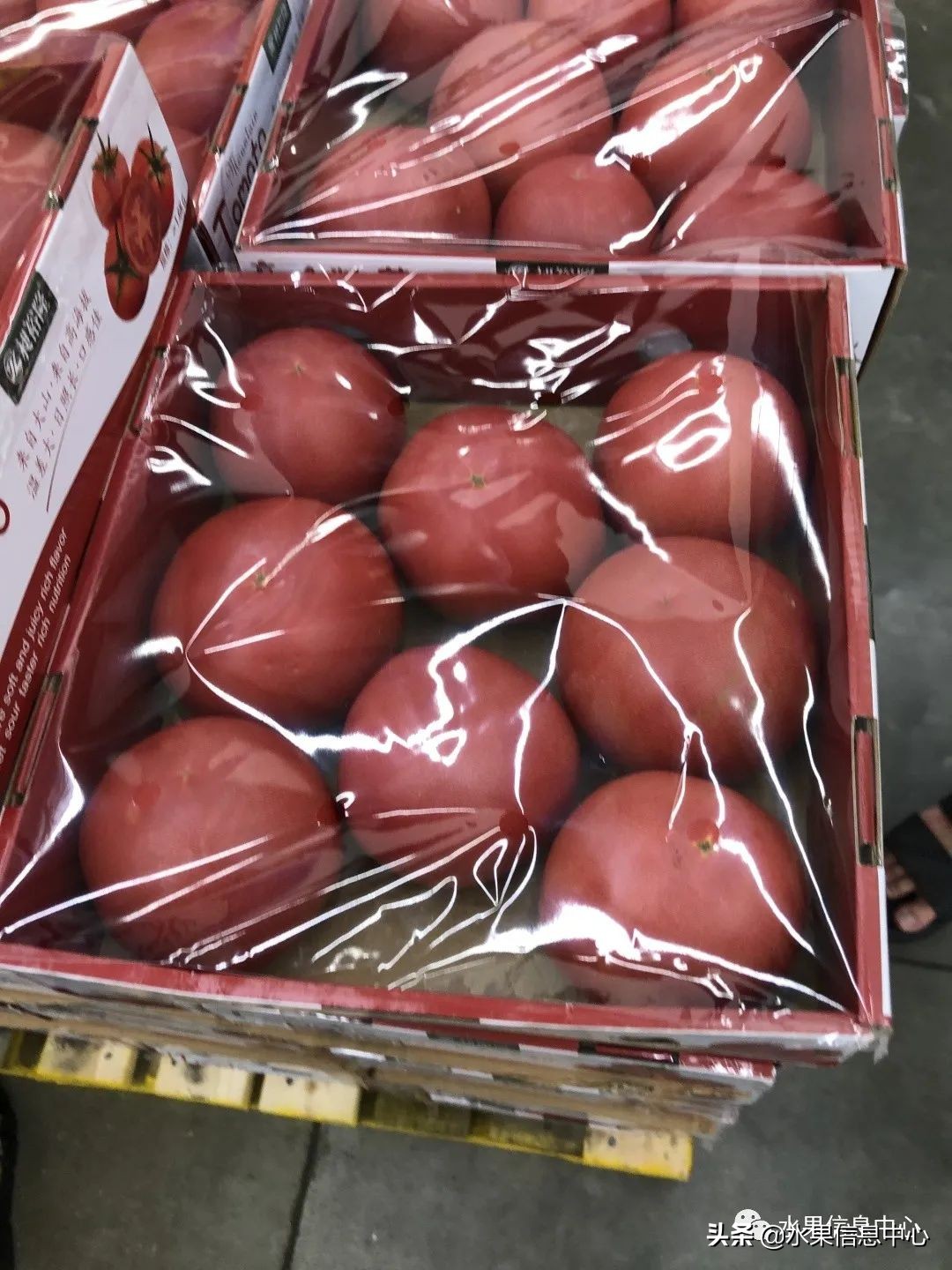 中秋节前，走访两家水果零售店，水果标准化在这里体现的淋漓尽致