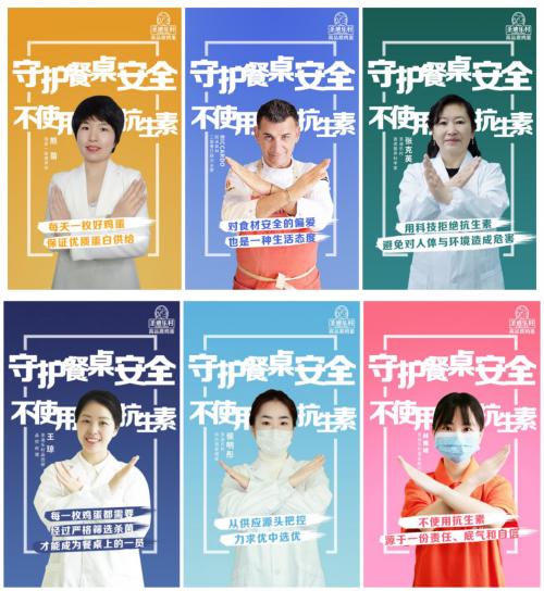 圣迪乐村的鸡蛋质量怎么样,圣迪乐村无抗鸡蛋