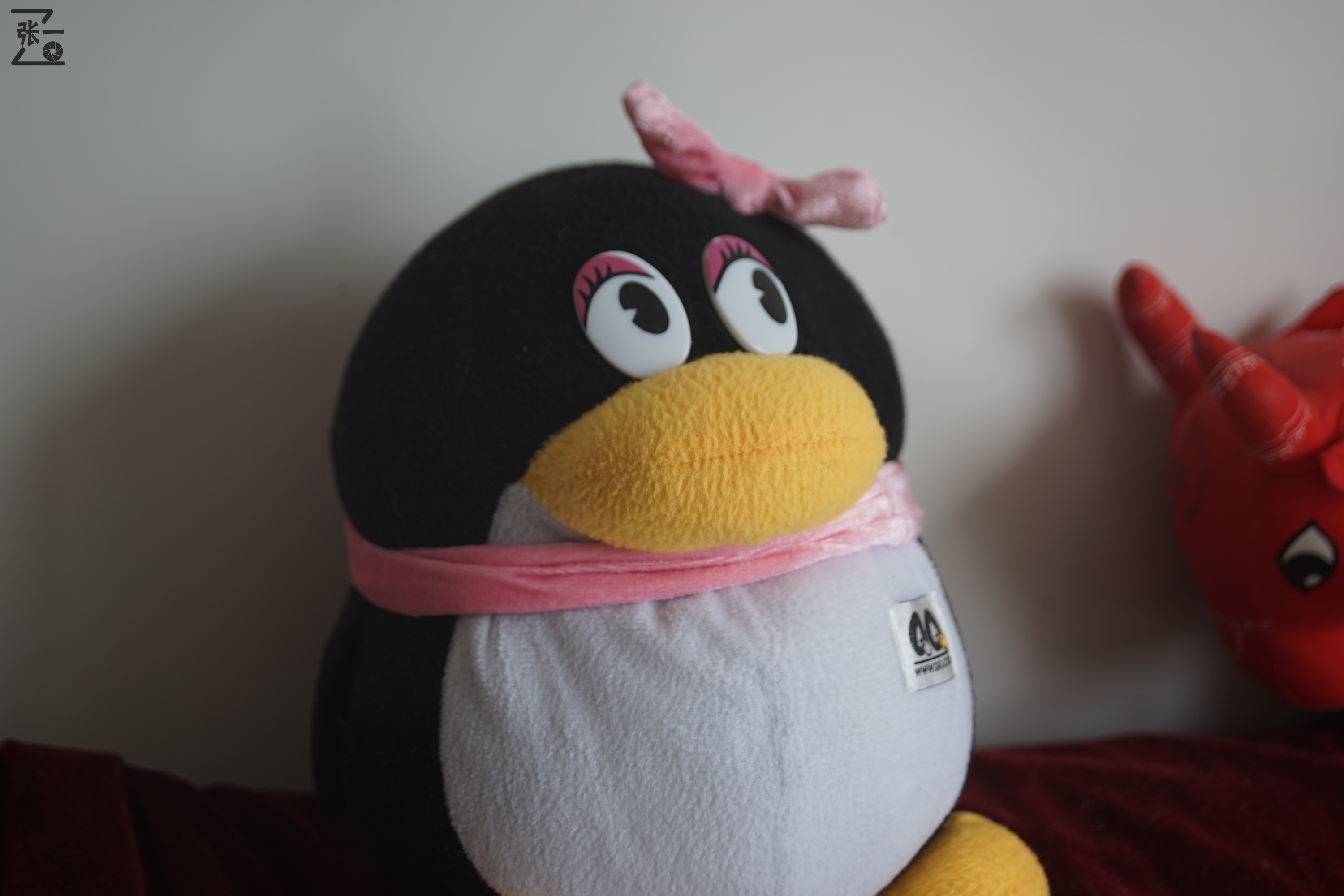 海鸥df300相机是黑白还是彩色,海鸥df300相机