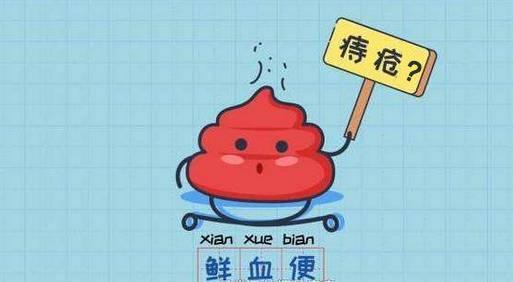 痔疮犯了大便出血怎么办,痔疮术后大便出血正常吗