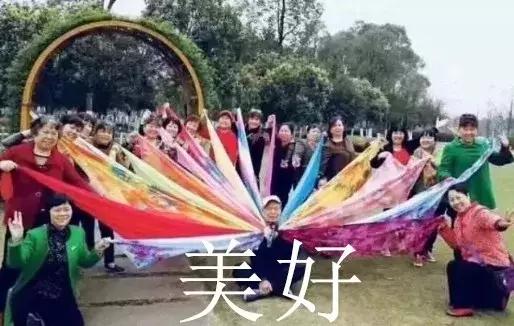 魔都赏花旅游攻略,魔都春季赏花好地方