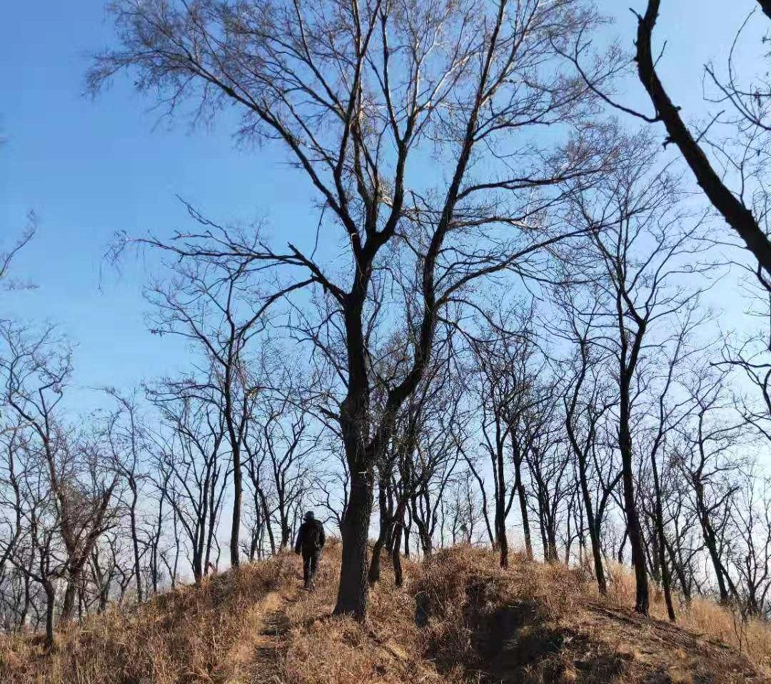 抚顺游记攻略,抚顺山峰游记