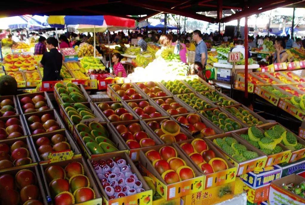 农产品电商创业计划书,农村农产品电商怎么做新手入门的