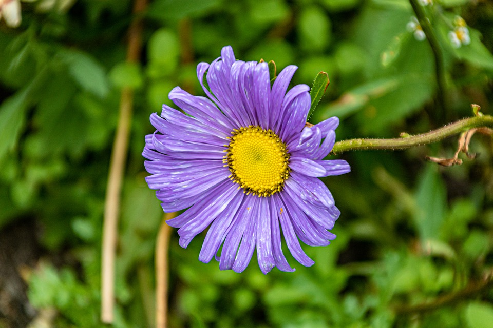 学习比其他星座优秀的几大星座,十二星座谁是学习最聪明的星座