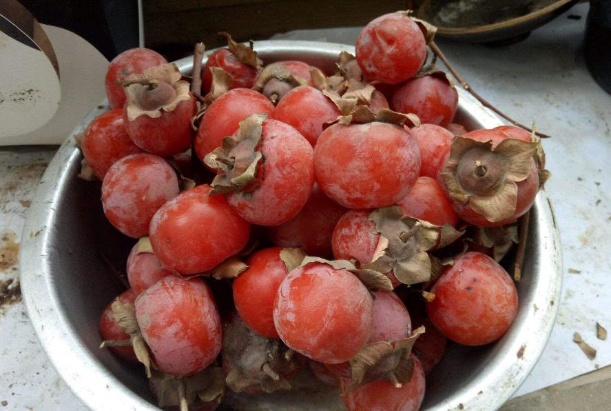 食物发霉削掉还可以再吃吗,食物发霉后切到发霉地方能吃吗