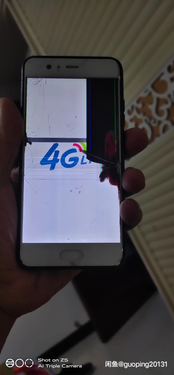 闲鱼纠纷怎么解决,闲鱼纠纷钱被冻结