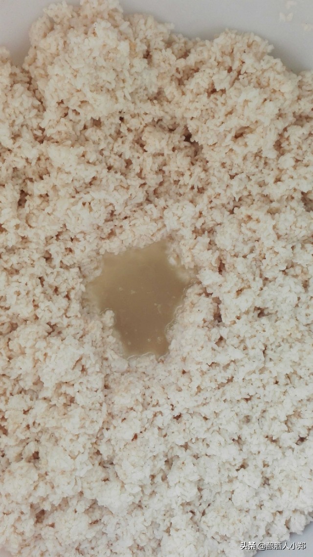 米酒发酵温度不够怎么办,米酒温度低能发酵吗