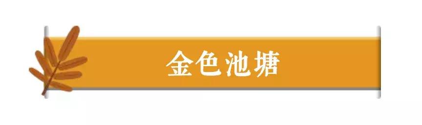 昆明市内最值得去的17个约泡圣地，去了你还想去！