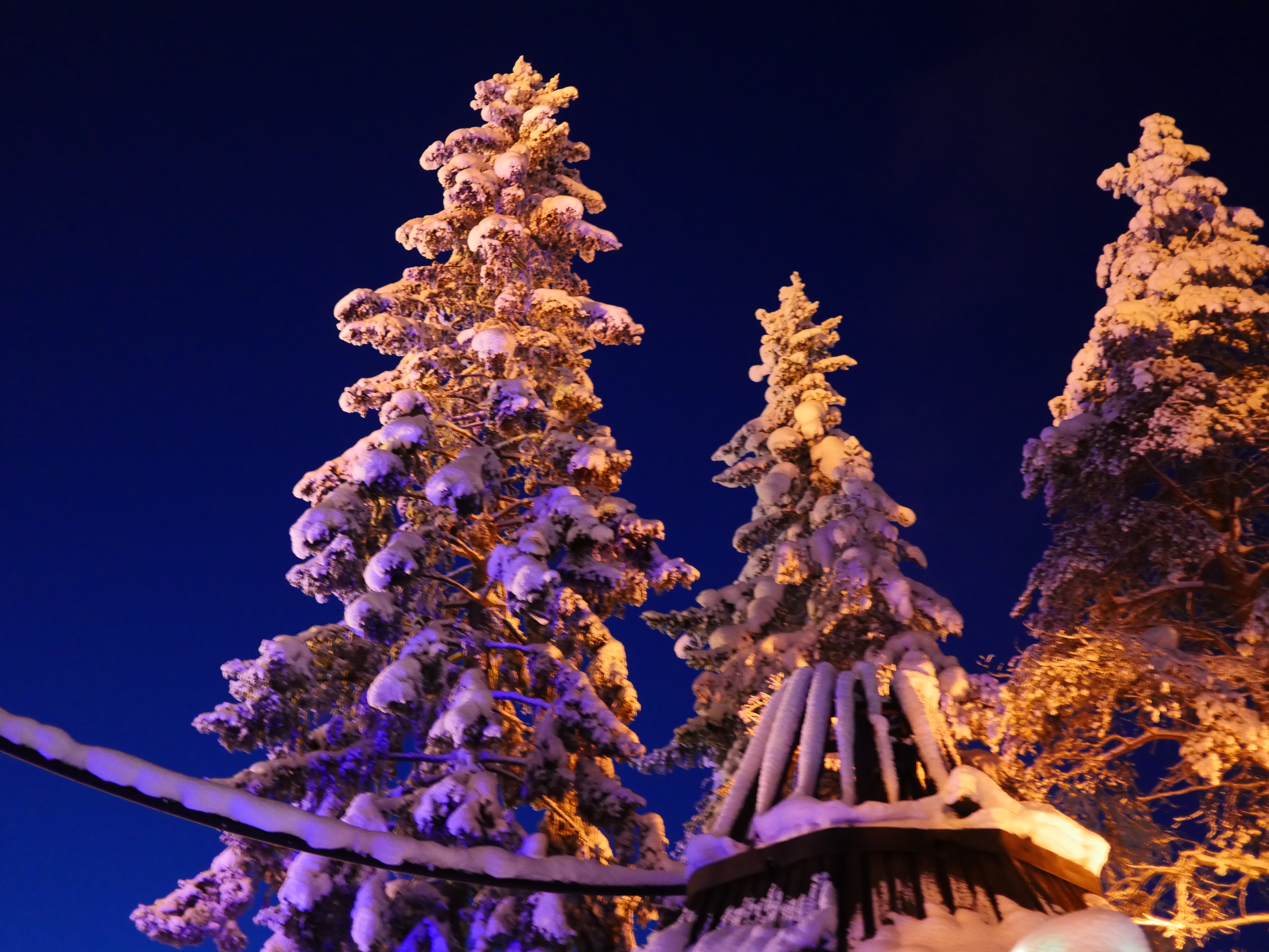 寒冬将至，2019冬季的魔力Taikatalvi-芬兰冬季文化营回顾