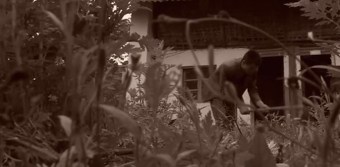 农家少女被杀案例,独居老妇被杀真实案例