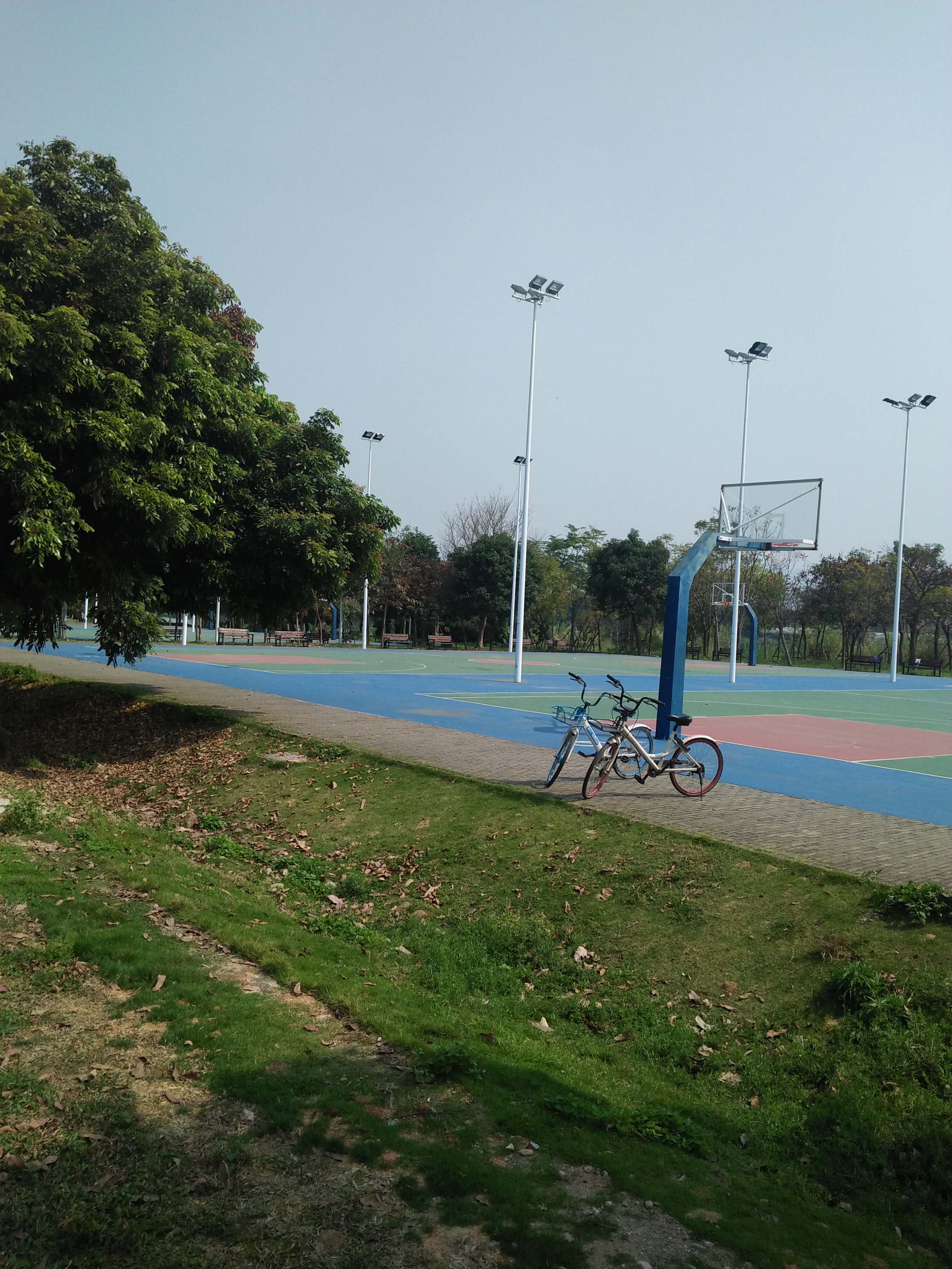 立春散文随笔,立春午后游记