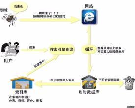 蜘蛛seo收录工具怎么用,seo优化技术中蜘蛛是什么东西