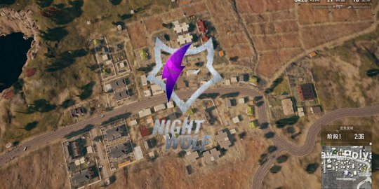 绝地求生nw战队,绝地求生nh战队夺冠