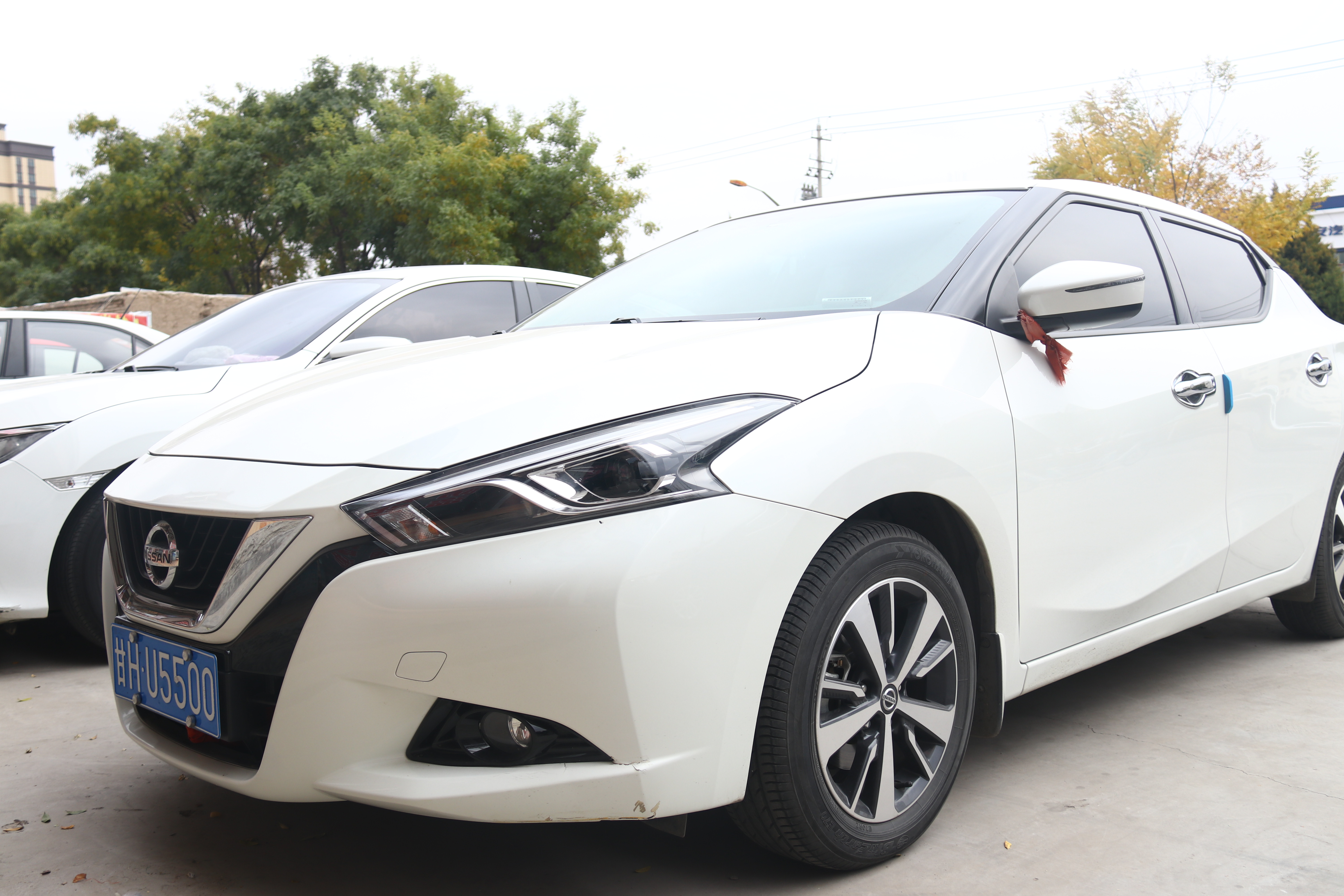 日产蓝鸟2016款1.6lcvt智酷版,开蓝鸟的真实感受