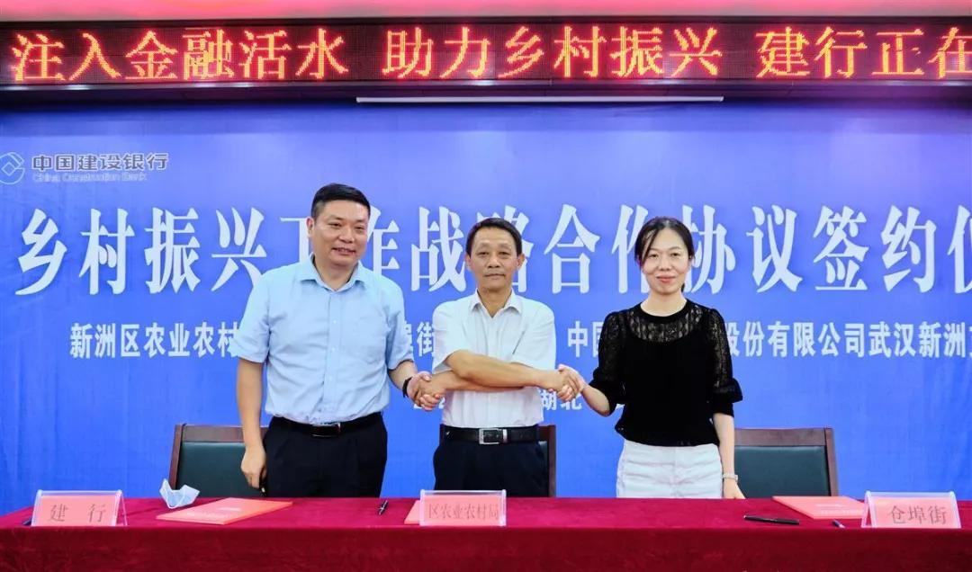 农商银行惠农贷款助力乡村振兴,金融活水助力乡村振兴