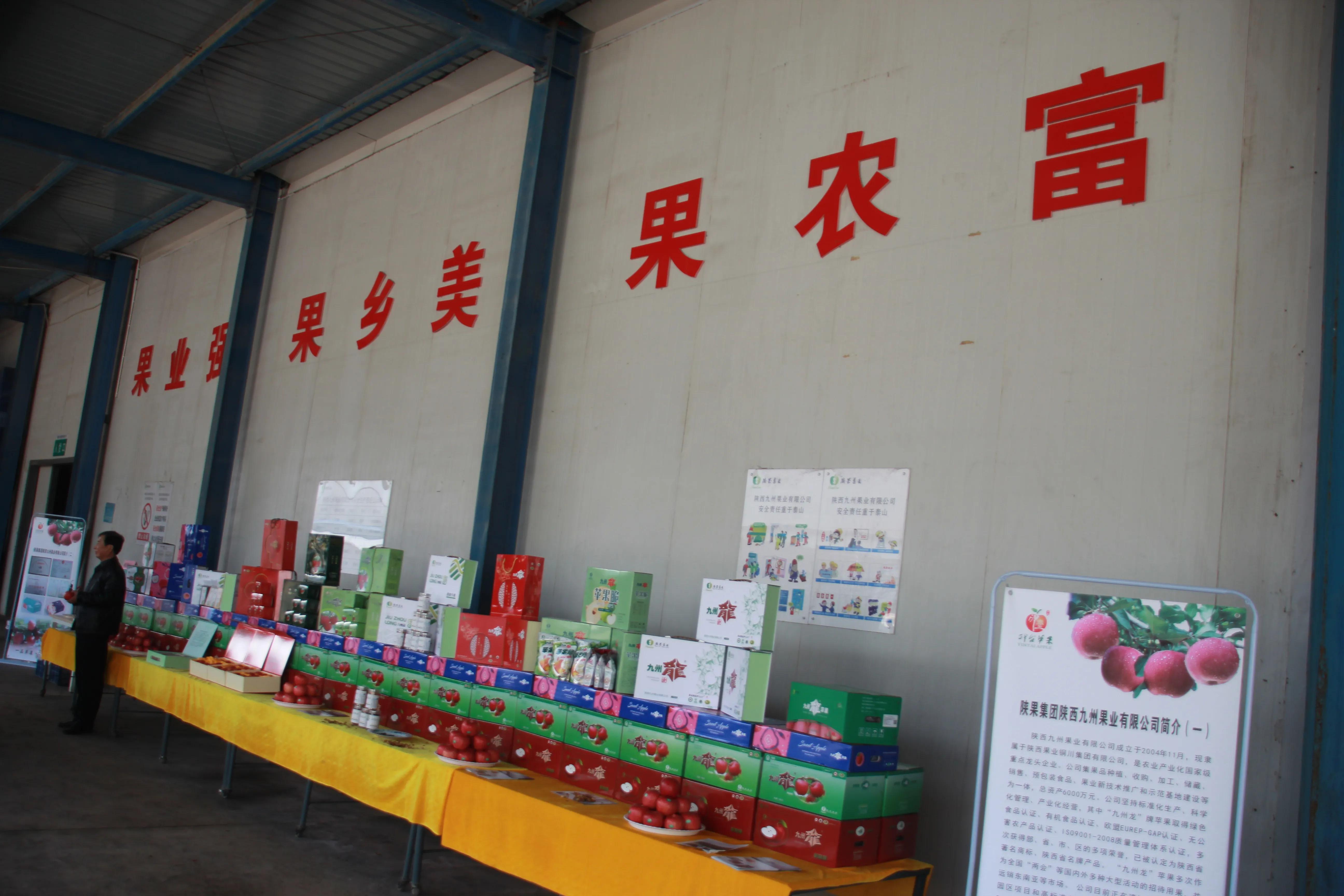 陕西铜川果品,铜川印台镇果业