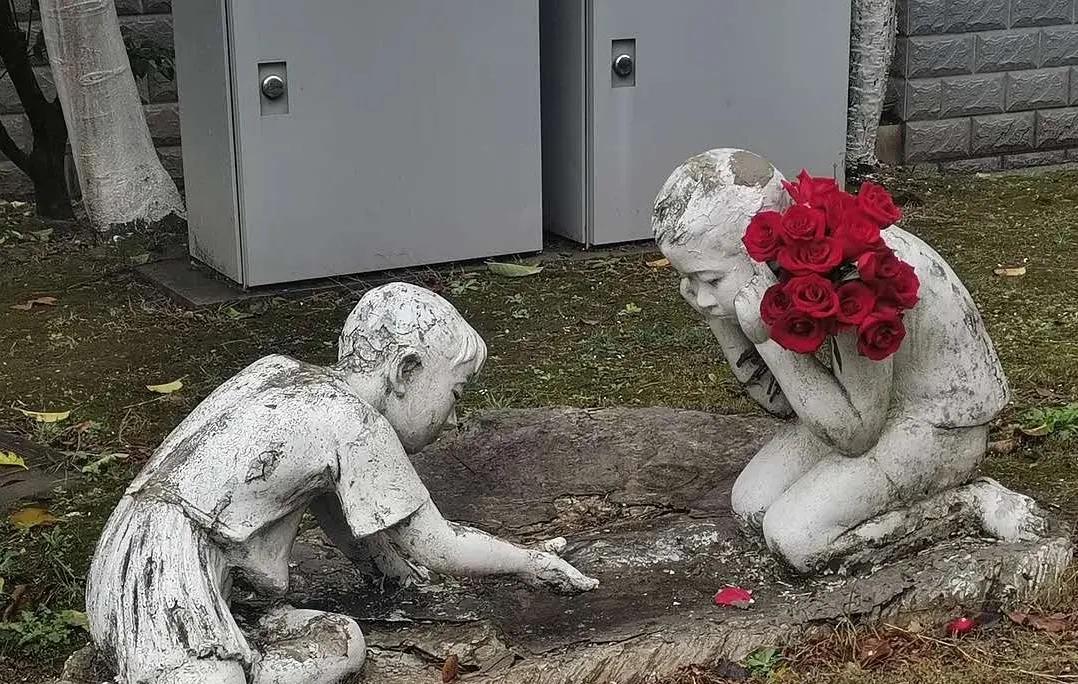 想学的东西太多了，学不过来了怎么办？