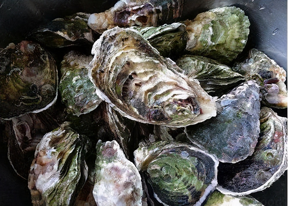 生蚝煮多少分钟才好吃,生蚝煮几分钟才好吃