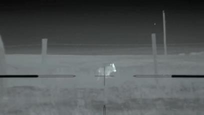 真正的狼灭：美国农场主一夜*击狙**45只郊狼，全套黑科技开挂了