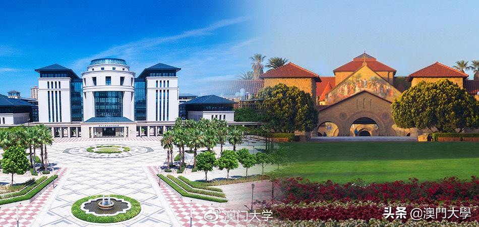 强强合作！澳大与史丹福肺癌治疗研究取得重大突破