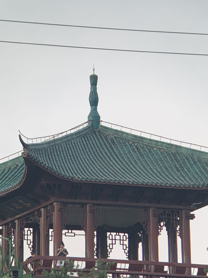 森林人单筒手机望远镜测试,iphonexr手机望远镜