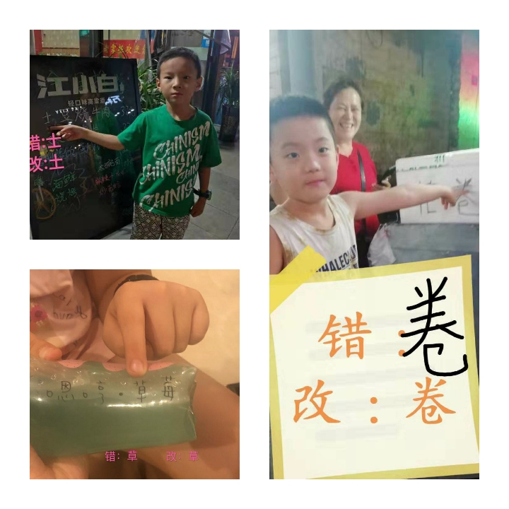 小学啄木鸟行动校外纠正错别字,啄木鸟找错别字实践活动