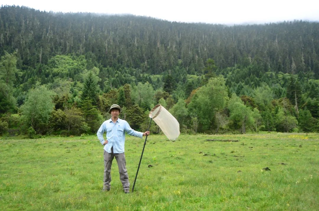 那些从小喜欢昆虫，又得到支持和尊重的孩子，活得到底有多爽？
