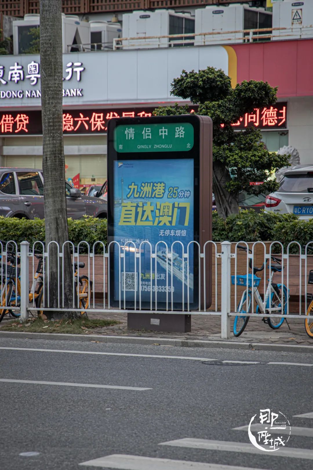 我去了最适合谈恋爱的珠海，回来却还是个单身狗