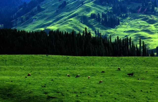 国家认证！*疆新**又一城市成为“中国天然氧吧”，大自然“空调房”就在……