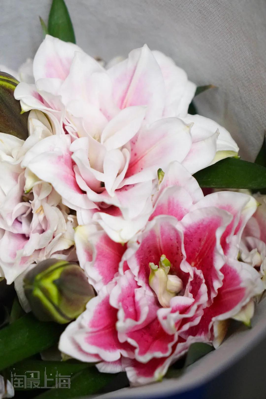 花卉市场晚上营业,今天的花卉市场