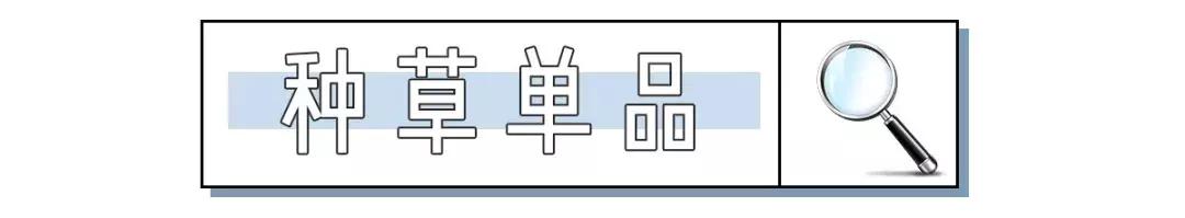 施华洛世奇别针款,施华洛世奇为什么没有回收价值