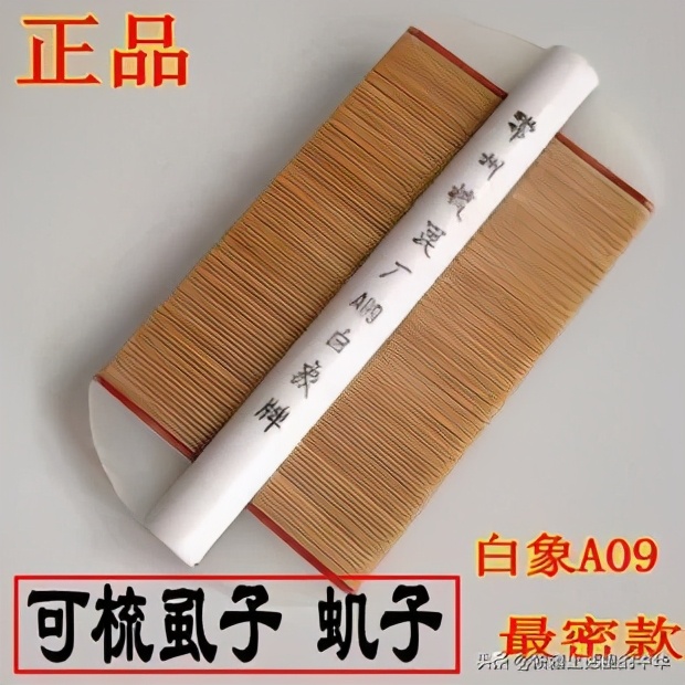 虱子虮子跳蚤的区别,虱子和虮子怎么消失的