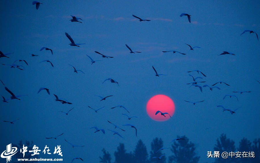 安徽七月路人视角,安徽七月天气列表