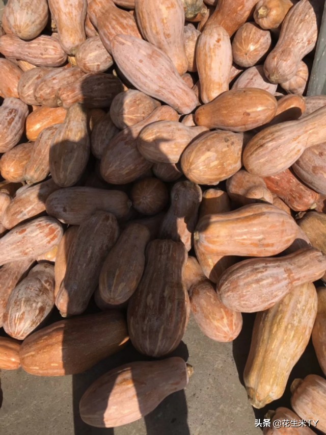 石家庄果蔬今日报价,石家庄果蔬批发价格