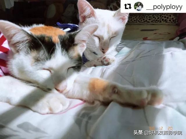 用什么拍出胶片感,如何拍出胶片的质感