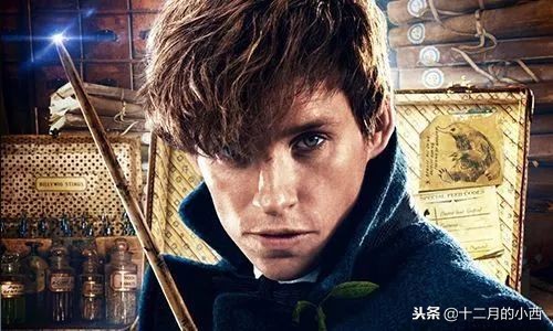 深度解读神奇动物在哪里,神奇动物和哈利波特有什么关联