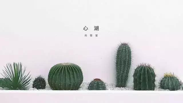 这对丁克小夫妻不懂设计，却靠热爱，设计出了厦门最美民宿