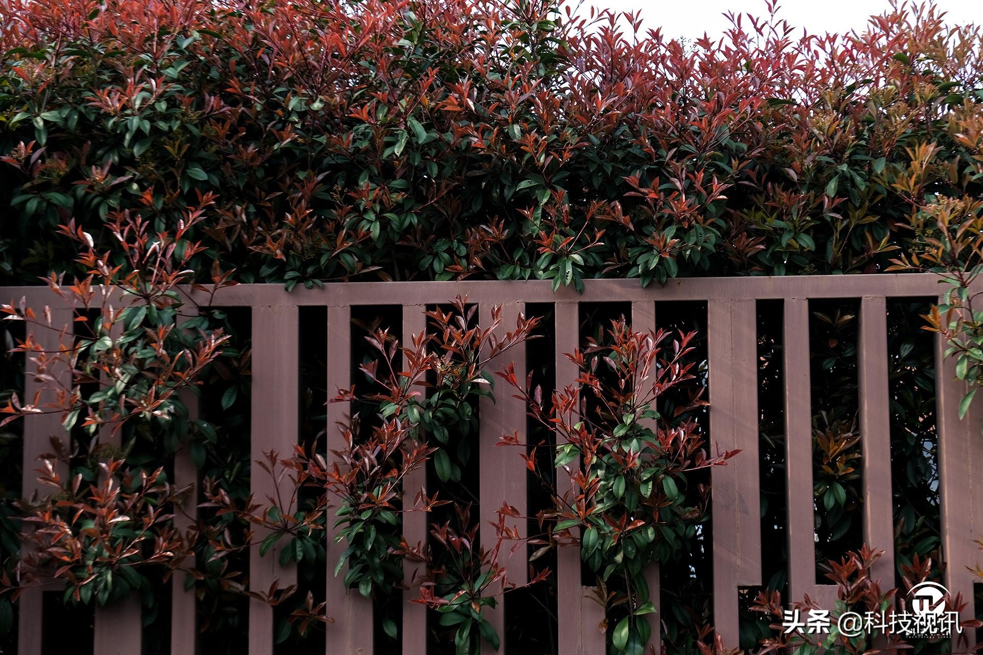 富士X-T30二代评测,富士x-t30开机键在哪儿