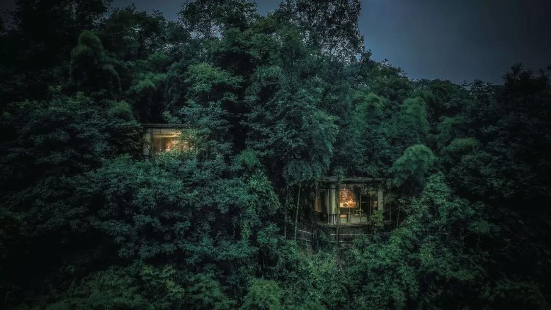 去了青城山才知道的宝藏民宿,青城山避暑农家小院