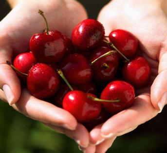 足球励志精辟感言,足球创新创业好点子