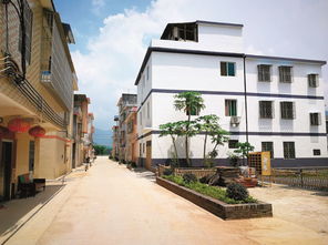 想挣钱，又不想离开村里务工。不妨试试这几个生意