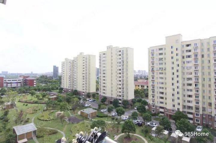 985home,985院校测评