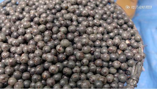 据说水果涨价，跟这剧的大火有点关系