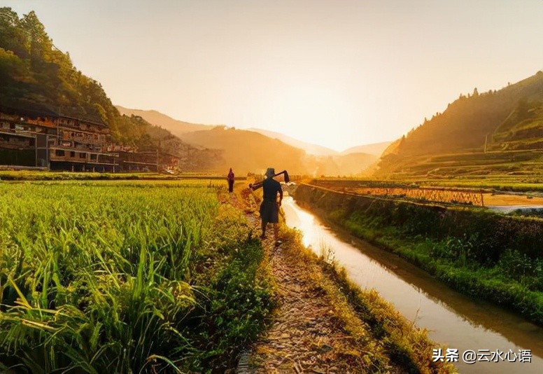 王维描写山水田园派的诗句,王维描写山水田园生活的诗