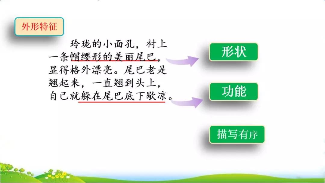 五年级语文第17课松鼠讲解,五年级上册第17课松鼠教材详解