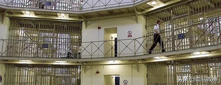 大洋彼岸的“子宫掠夺者”