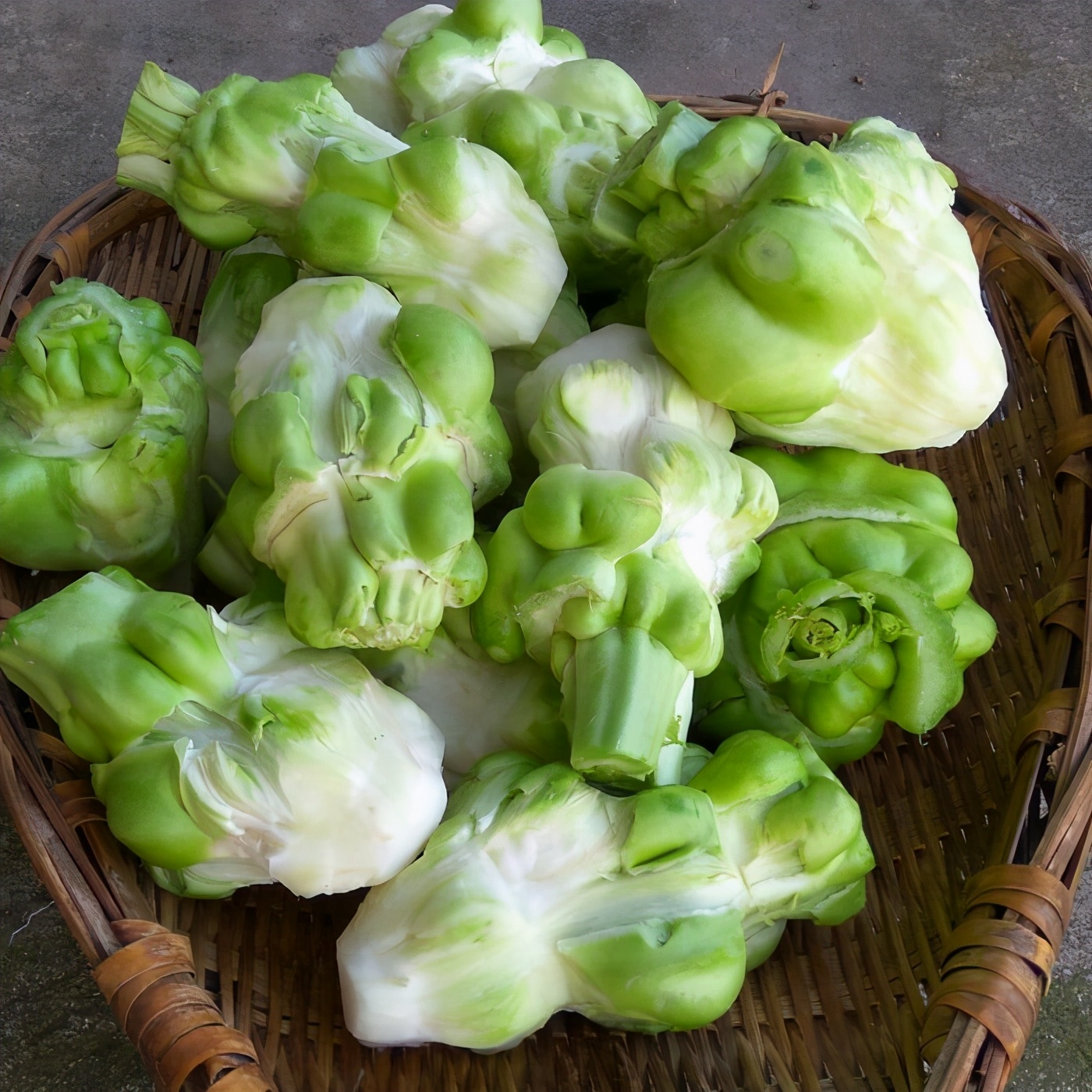 富可敌国的江南古镇,富可敌国的沈万三故里