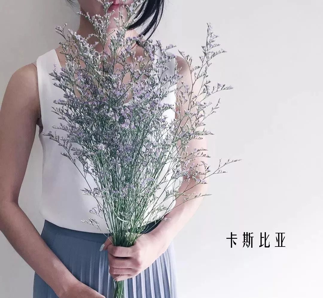 花店里同款的两种不同价格的花材,花店最容易被顾客误解的几种花材