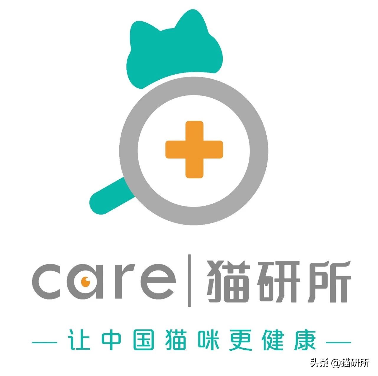 3个月的布偶猫怎么培养性格,怎么培养小猫有猫德